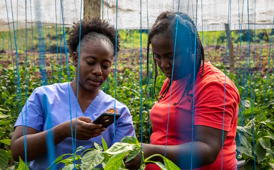 Agriworld%20Ghana